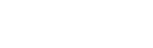 Figure 3: The FitzHugh-Nagumo Model