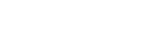 Figure 2: The Hodgkin-Huxley Model
