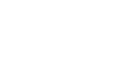 Figure 7: Extended FitzHugh-Nagumo