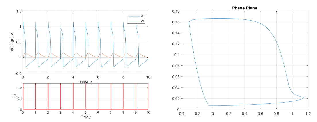 Figure 5: Limit Cycle