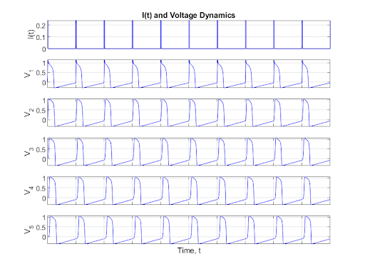 Figure 8: Regular Pulse Neuron Chain